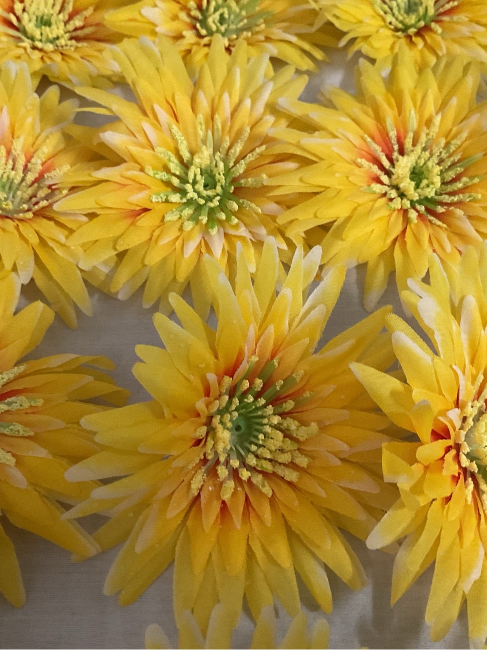 5” Daisy, (48) Golden Yellow with Orange/Red centers and tips flower heads only.